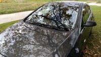 IMG_20161030_131259.jpg